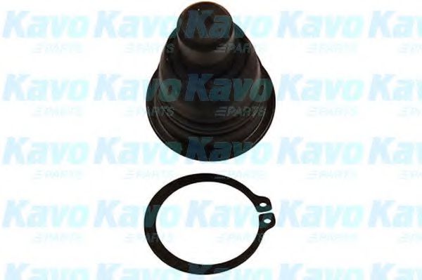 Несущий / направляющий шарнир KAVO PARTS SBJ6537