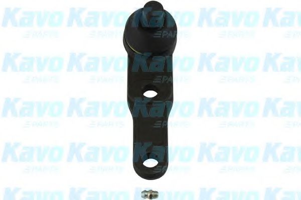 Несущий / направляющий шарнир KAVO PARTS SBJ1005