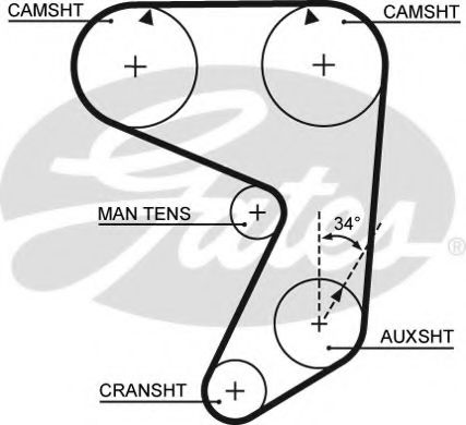 Ремень ГРМ GATES 5081
