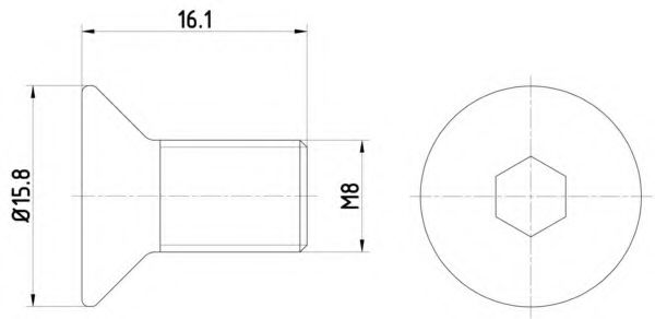 Болт тормозного диска HELLA PAGID 8DZ355209061