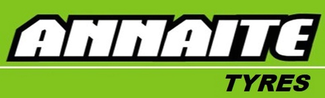 Производитель ANNAITE логотип