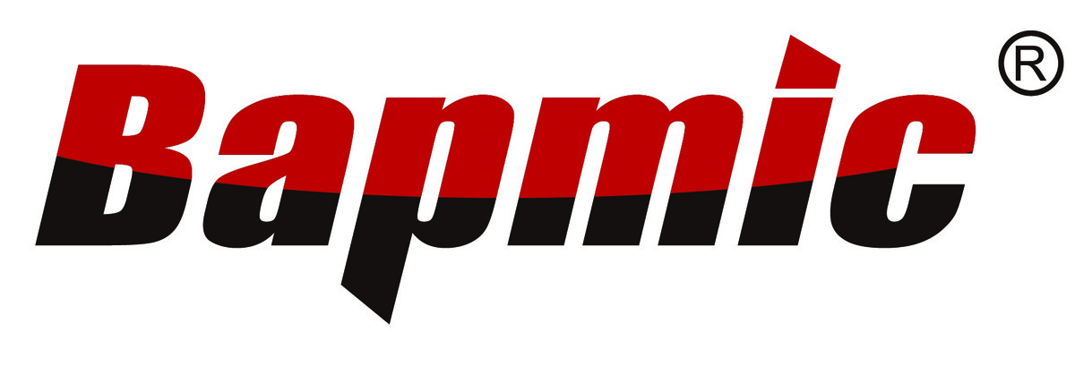 Логотип BAPMIC