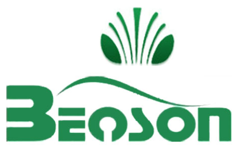 Логотип BENSON
