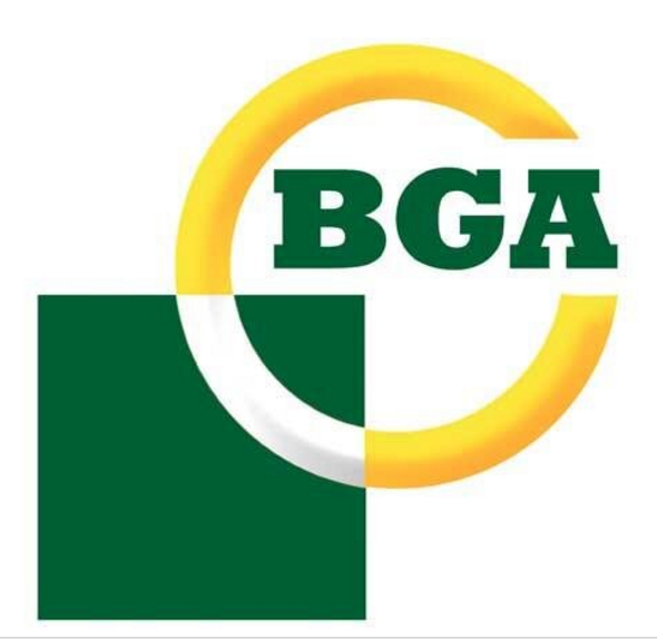 Производитель BGA логотип
