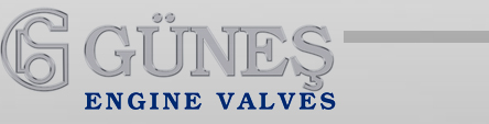 Логотип GUNES ENGINE VALVES
