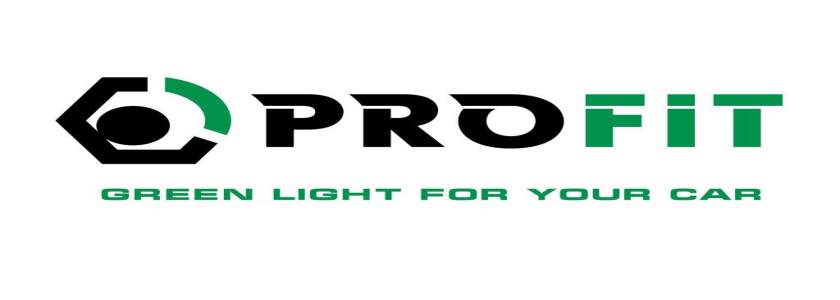 Логотип PROFIT