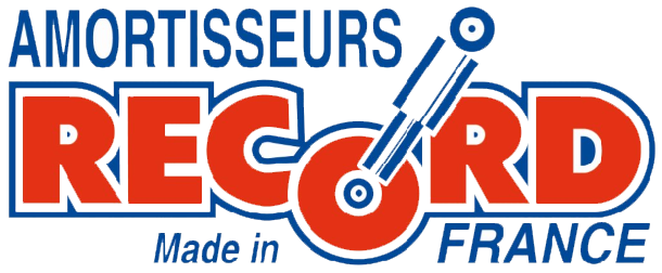 Логотип RECORD FRANCE