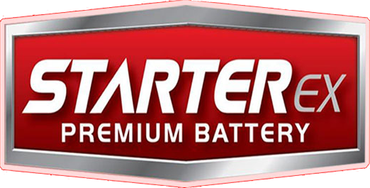 Логотип Starter EX