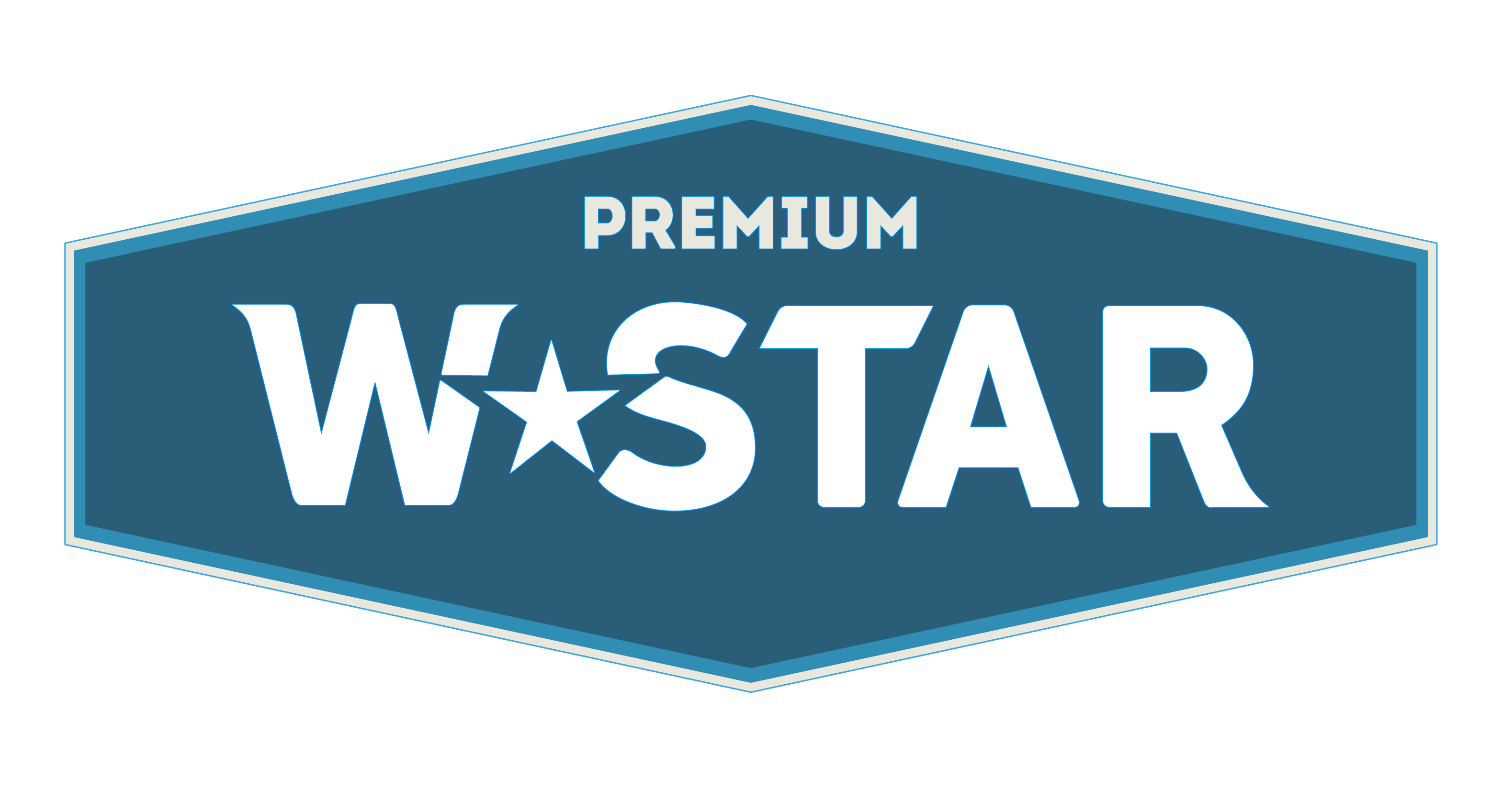 Производитель W STAR логотип